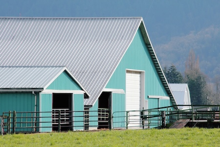 How to stop metal roof rust houston maintenance tips for barns and homes